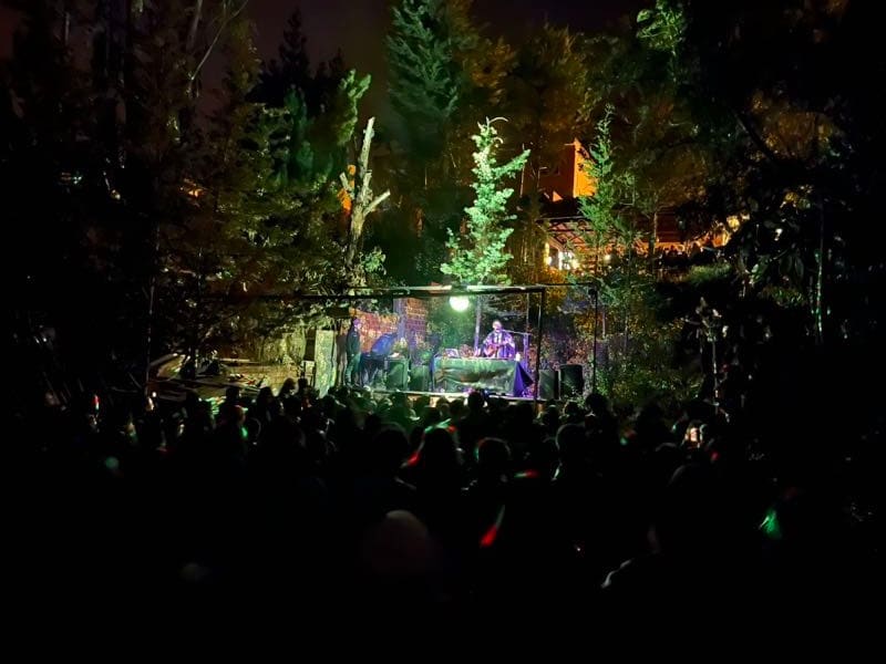 Público de espaldas frente a un concierto nocturno en el Barranco.